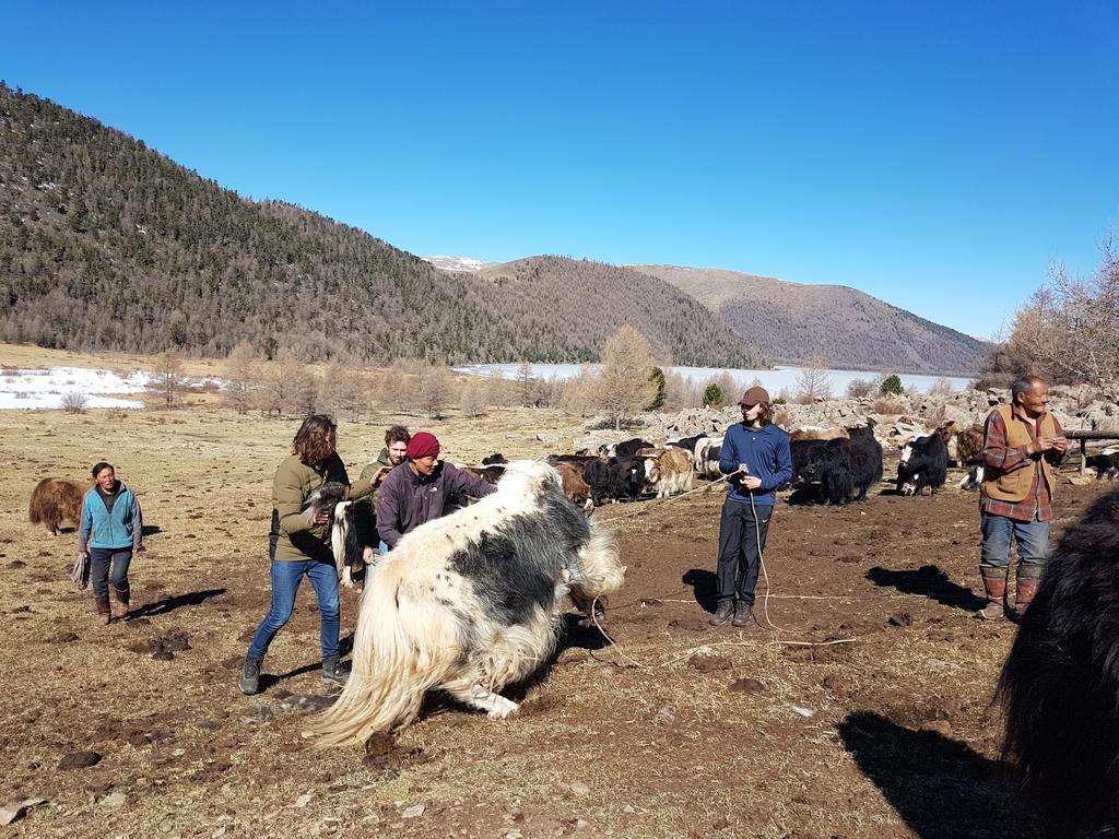 Vast Mongolia Tour & Hostel Ulánbátor Kültér fotó